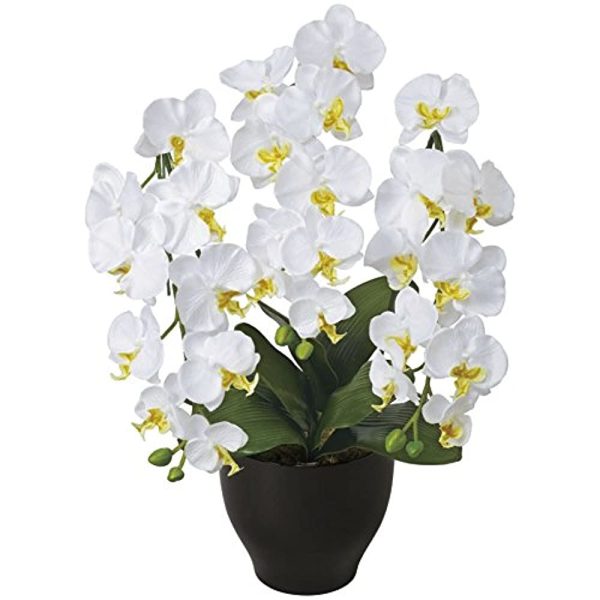 Phalaenopsis Celestial W 20A100 Artificial Photocatalyst Artificial Flowers Paradise Sale